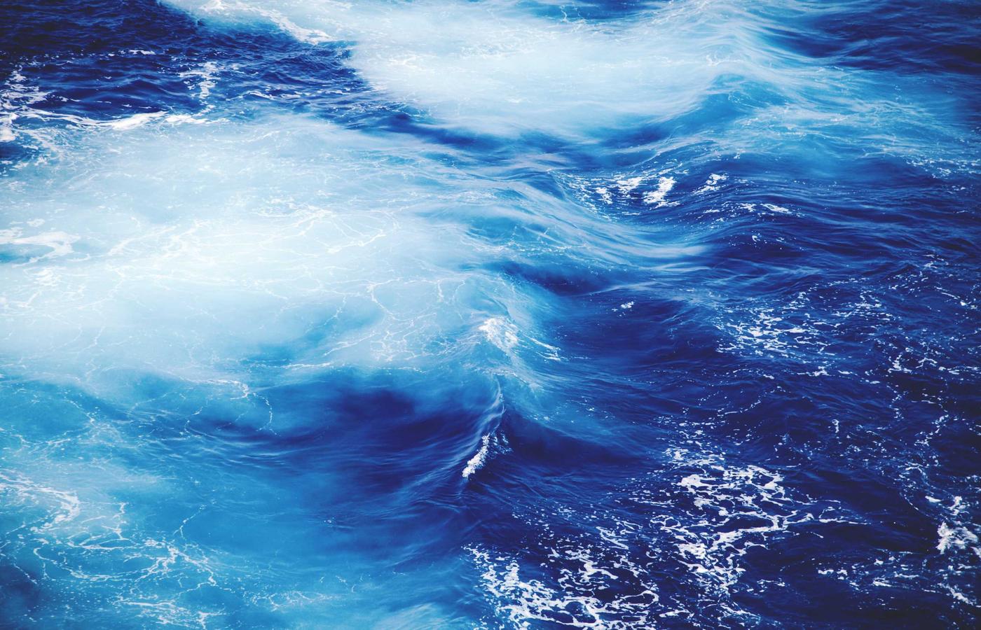 Portrait of Aisha Khan