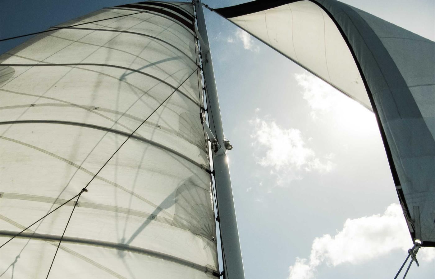 Portrait of Michael Chen