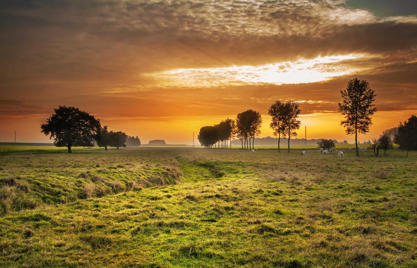Portrait of Priya Sharma